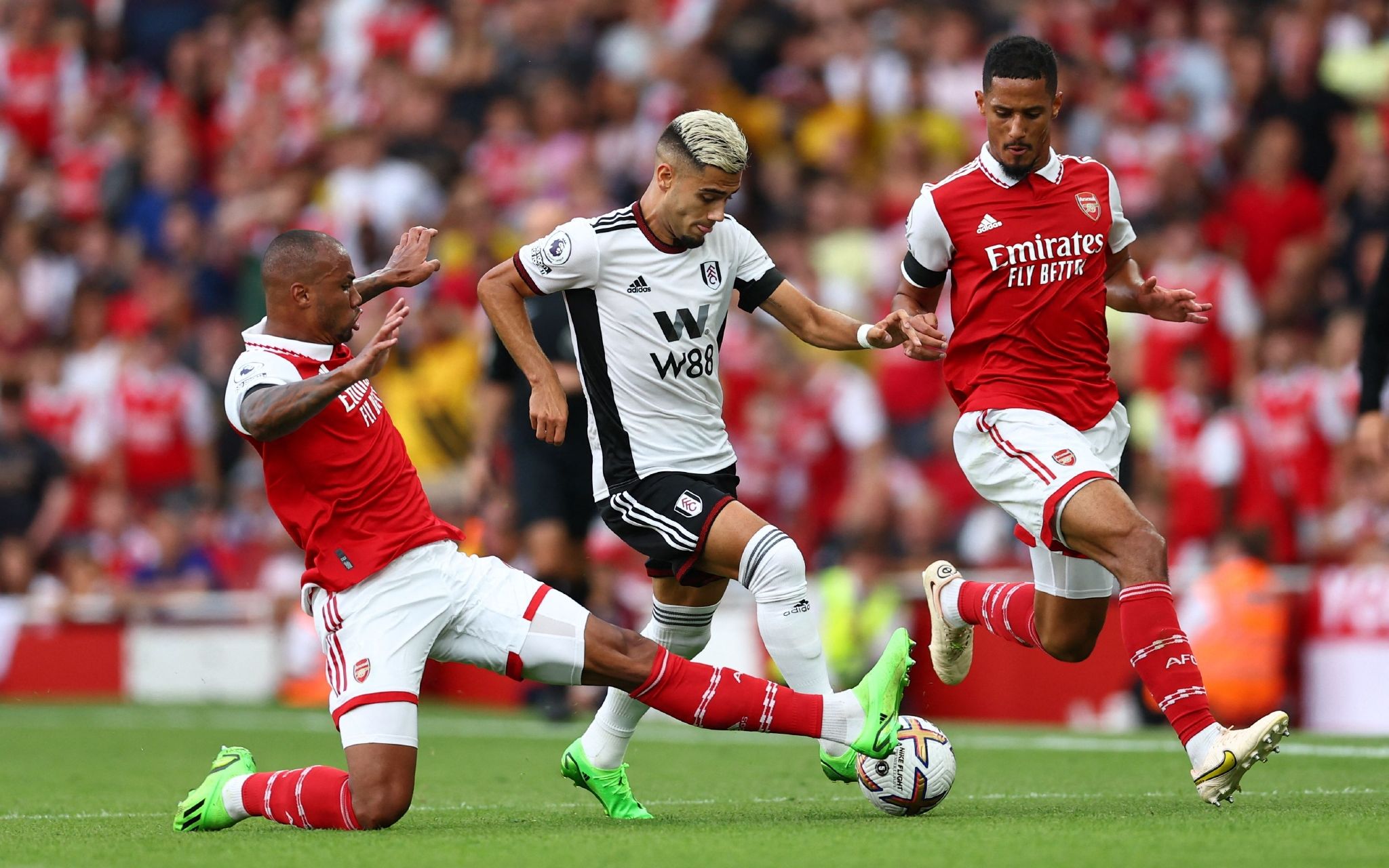 了一个备受 了一个备受